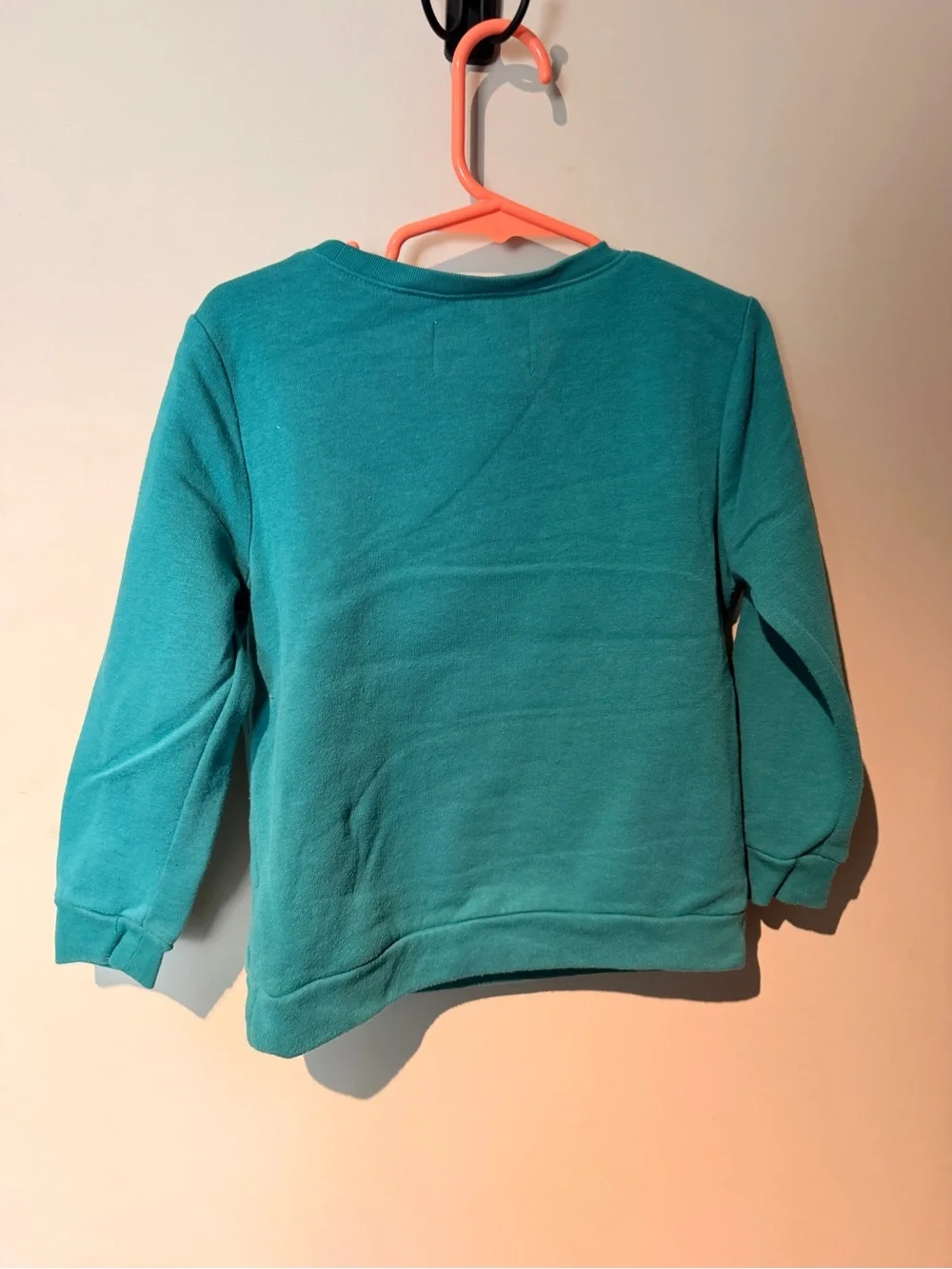 Old Navy Teal Girls' Raccoon Applique Sweatshirt with Floral Accent